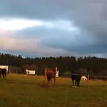 Na Dziole * Lipnica Wielka