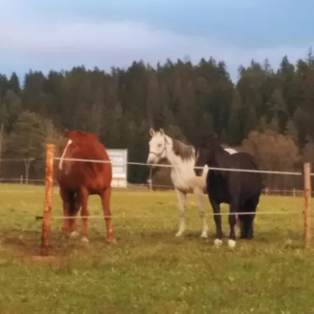 Na Dziole Farm stay *