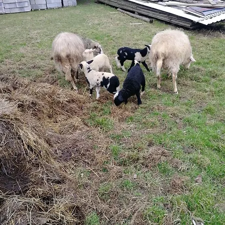 Na Dziole Lipnica Wielka