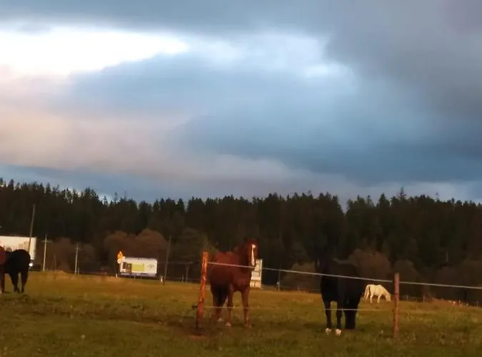 Na Dziole * Lipnica Wielka