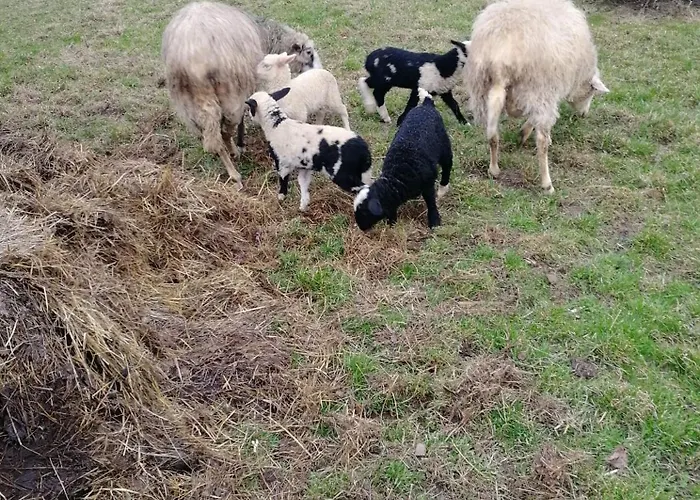 Na Dziole Lipnica Wielka
